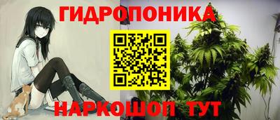 ECSTASY Балашиха