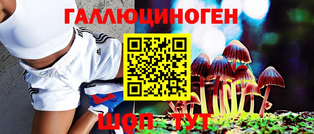 Псилоцибиновые грибы GOLDEN TEACHER Елец